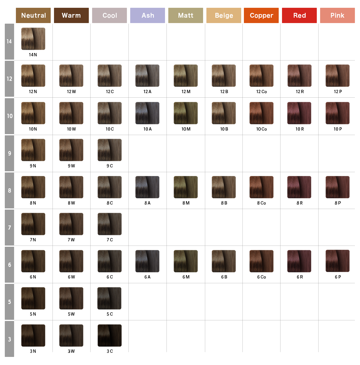 カラーコンシャス カラーチャート ナンバースリー