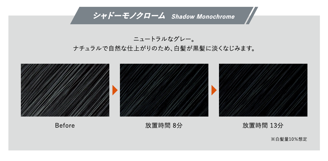 H.E. メンズシャドウカラー