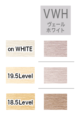 IROJIKAKE イロジカケ ホーユー hoyu カラーチャート