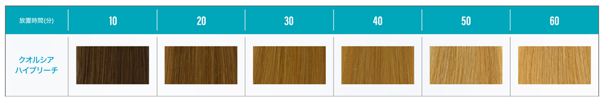 クオルシア ハイブリーチ